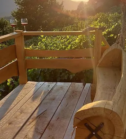 Vineyard Stopar Vikendica Straza