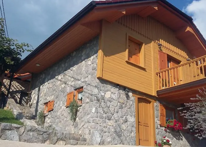 Casa vacanze Vineyard Stopar