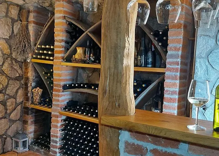 Vineyard Stopar Casa vacanze Straza