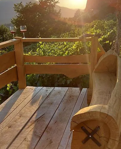 Vineyard Stopar Casa vacanze Straza